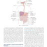 Krause and Mahan’s Food and the Nutrition Care Process 16th Edicion 2023