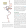 Krause and Mahan’s Food and the Nutrition Care Process 16th Edicion 2023