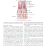 Krause and Mahan’s Food and the Nutrition Care Process 16th Edicion 2023