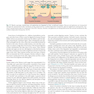 Krause and Mahan’s Food and the Nutrition Care Process 16th Edicion 2023