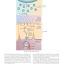 Krause and Mahan’s Food and the Nutrition Care Process 16th Edicion 2023