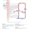Krause and Mahan’s Food and the Nutrition Care Process 16th Edicion 2023