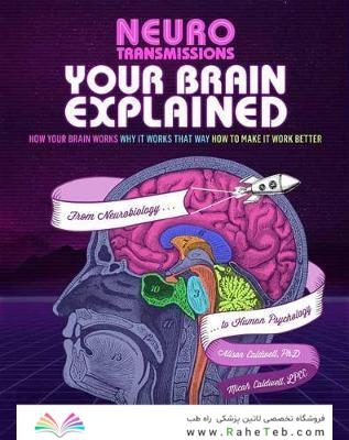 Brains Explained: How They Work - Why They Work That Way