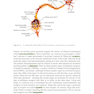 Research Methods for Cognitive Neuroscience
