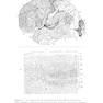 Research Methods for Cognitive Neuroscience