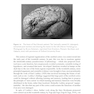 Research Methods for Cognitive Neuroscience