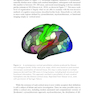 Research Methods for Cognitive Neuroscience
