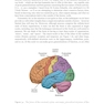 Research Methods for Cognitive Neuroscience