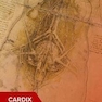 Manual of Cardiovascular Medicine