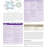 Textbook of Critical Care 8th Edicion