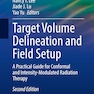 Target Volume Delineation and Field Setup : A Practical Guide for Conformal and Intensity-Modulated Radiation Therapy