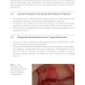 Target Volume Delineation and Field Setup : A Practical Guide for Conformal and Intensity-Modulated Radiation Therapy