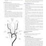 Basic Science for the MRCS: A revision guide for surgical trainees 4th Edicion
