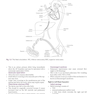 Basic Science for the MRCS: A revision guide for surgical trainees 4th Edicion