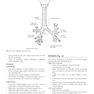 Basic Science for the MRCS: A revision guide for surgical trainees 4th Edicion