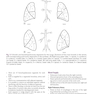 Basic Science for the MRCS: A revision guide for surgical trainees 4th Edicion