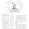 Basic Science for the MRCS: A revision guide for surgical trainees 4th Edicion