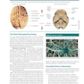 2023 Biological Psychology 14th Edicion