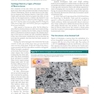 2023 Biological Psychology 14th Edicion