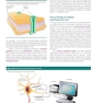 2023 Biological Psychology 14th Edicion