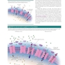 2023 Biological Psychology 14th Edicion