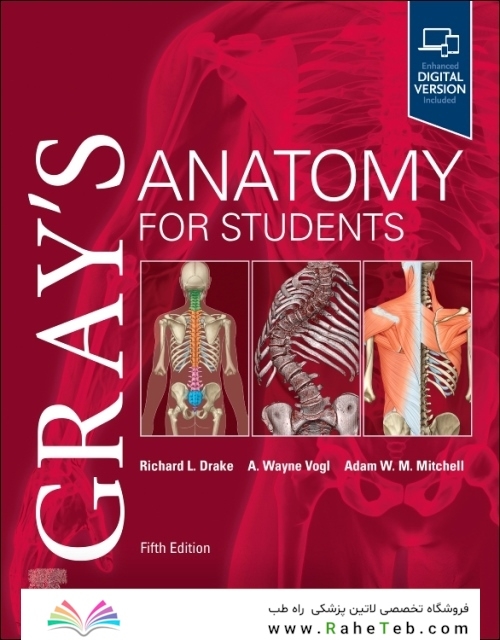 Gray’s Anatomy for Students 5th Edition 2024