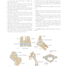 Gray’s Anatomy for Students 5th Edition 2024