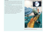 Gray’s Anatomy for Students 5th Edition 2024