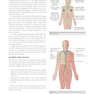 Gray’s Anatomy for Students 5th Edition 2024