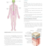 Gray’s Anatomy for Students 5th Edition 2024