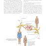 Gray’s Anatomy for Students 5th Edition 2024