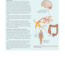 Gray’s Anatomy for Students 5th Edition 2024