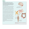 Gray’s Anatomy for Students 5th Edition 2024