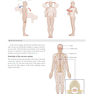 Gray’s Anatomy for Students 5th Edition 2024