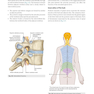 Gray’s Anatomy for Students 5th Edition 2024