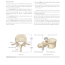 Gray’s Anatomy for Students 5th Edition 2024