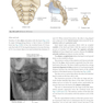 Gray’s Anatomy for Students 5th Edition 2024