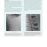 Gray’s Anatomy for Students 5th Edition 2024