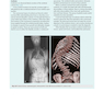 Gray’s Anatomy for Students 5th Edition 2024