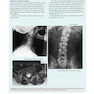Gray’s Anatomy for Students 5th Edition 2024