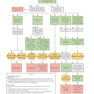 First Aid Clinical Algorithms for the USMLE Step 2 CK 1st Edicion 2024