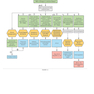First Aid Clinical Algorithms for the USMLE Step 2 CK 1st Edicion 2024