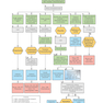 First Aid Clinical Algorithms for the USMLE Step 2 CK 1st Edicion 2024