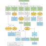 First Aid Clinical Algorithms for the USMLE Step 2 CK 1st Edicion 2024