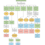 First Aid Clinical Algorithms for the USMLE Step 2 CK 1st Edicion 2024