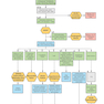 First Aid Clinical Algorithms for the USMLE Step 2 CK 1st Edicion 2024