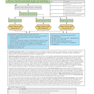 First Aid Clinical Algorithms for the USMLE Step 2 CK 1st Edicion 2024
