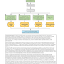 First Aid Clinical Algorithms for the USMLE Step 2 CK 1st Edicion 2024