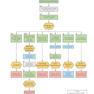 First Aid Clinical Algorithms for the USMLE Step 2 CK 1st Edicion 2024