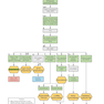 First Aid Clinical Algorithms for the USMLE Step 2 CK 1st Edicion 2024